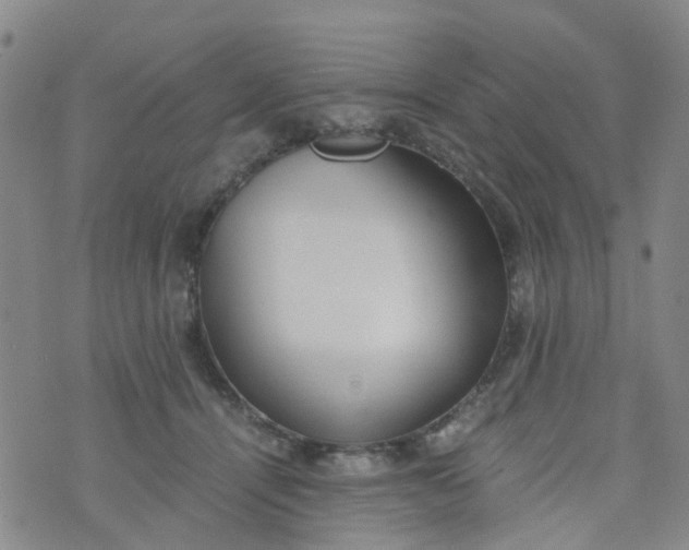 X0000073920464200609011813