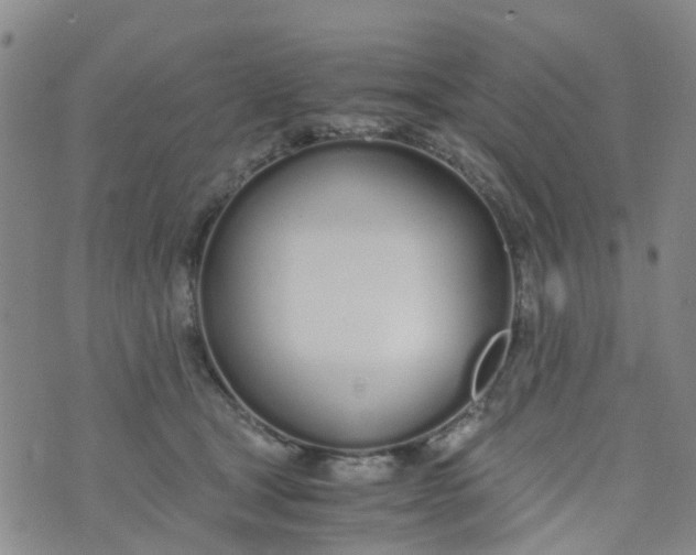 X0000073920465200609011813