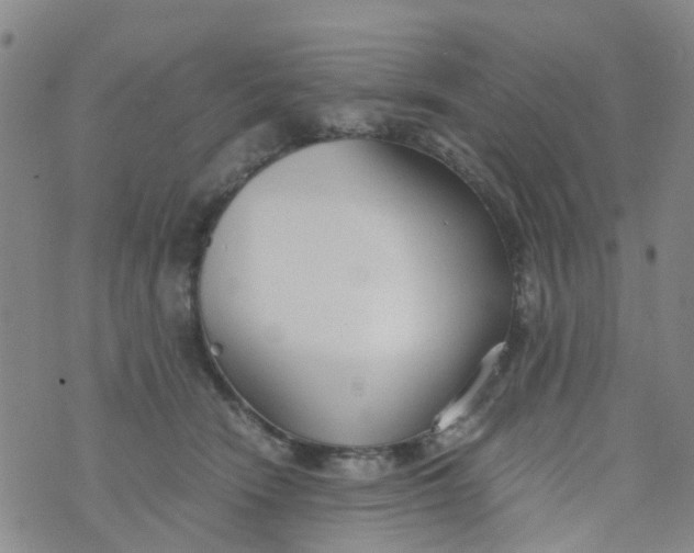 X0000073920466200609011813