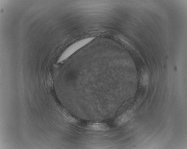 X0000073920467200609011814