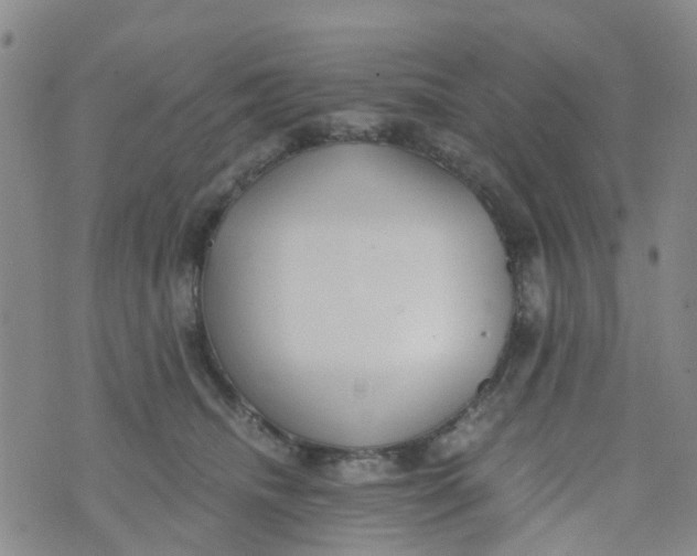 X0000073920468200609011814