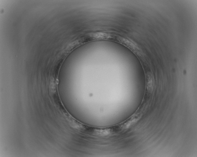 X0000073920469200609011814