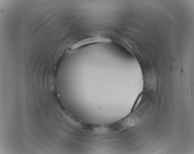 X0000073920470200609011814