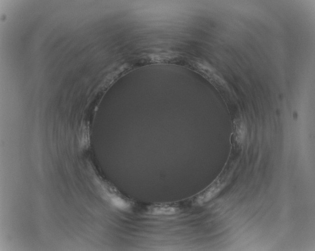 X0000073920471200609011814