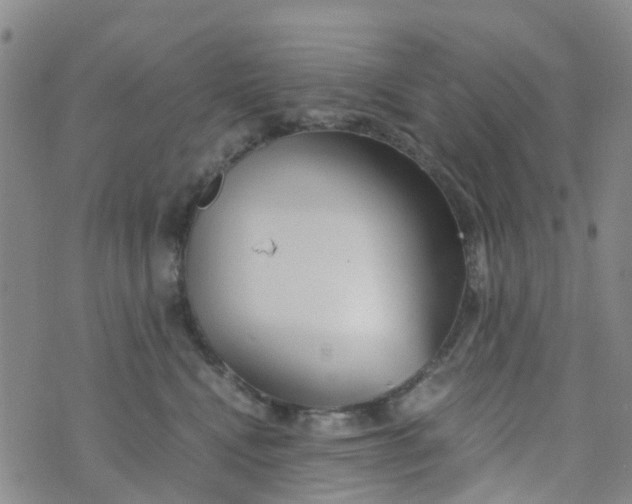 X0000073920472200609011814