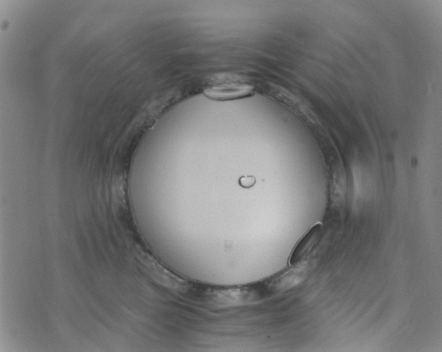 X0000073920473200609011814