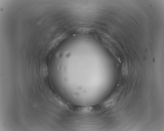 X0000073920474200609011814