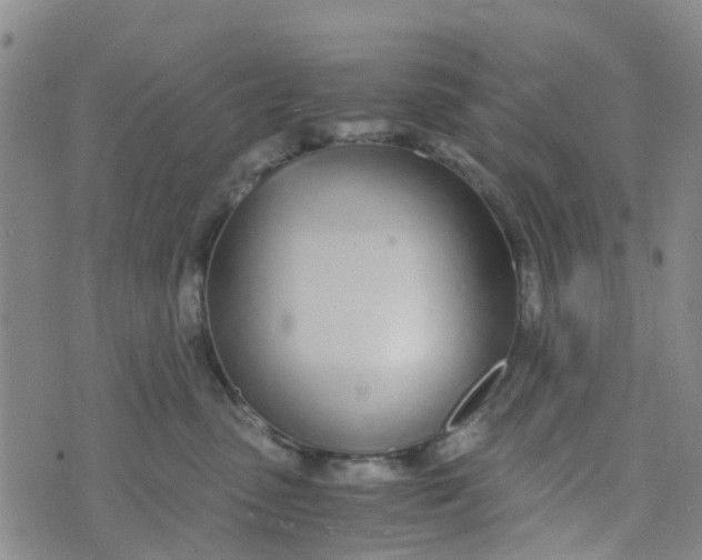 X0000073920475200609011814