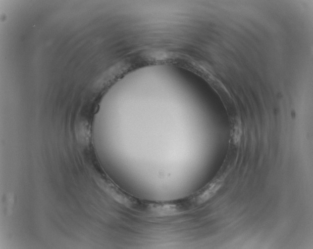 X0000073920476200609011814