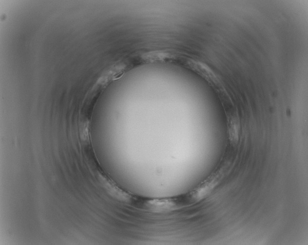 X0000073920477200609011814