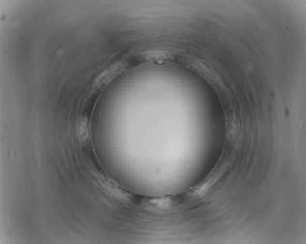 X0000073920478200609011814