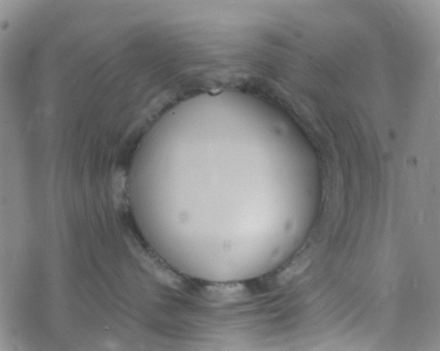 X0000073920480200609011814