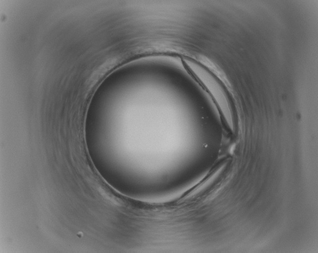 X0000073920481200609011813