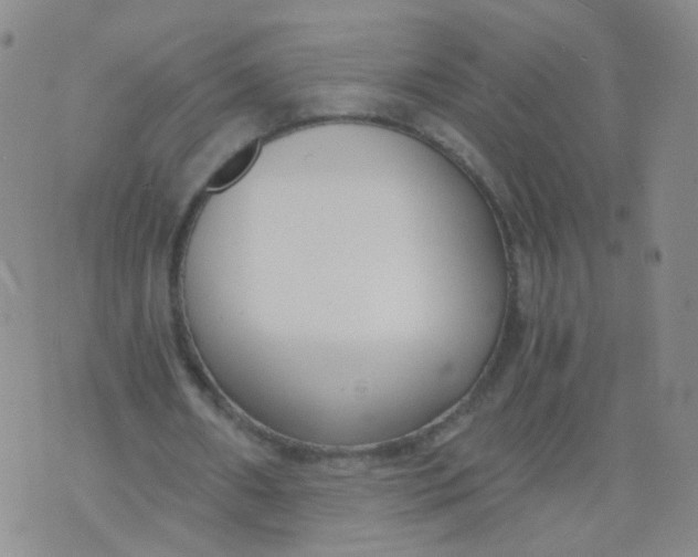 X0000073920482200609011813