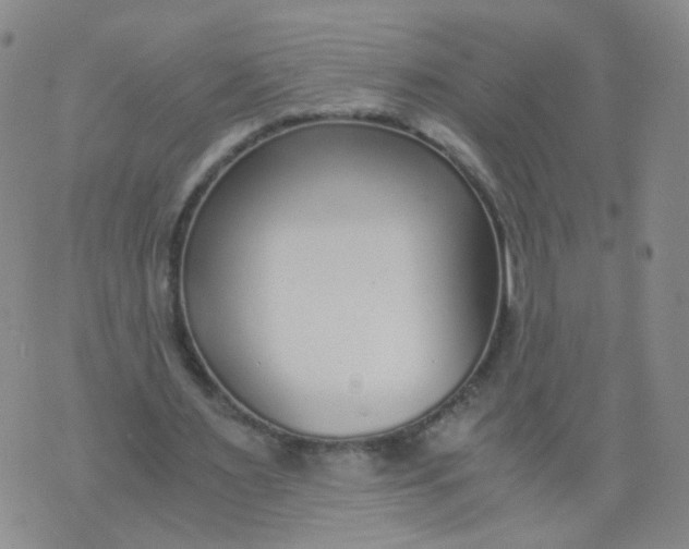 X0000073920483200609011813