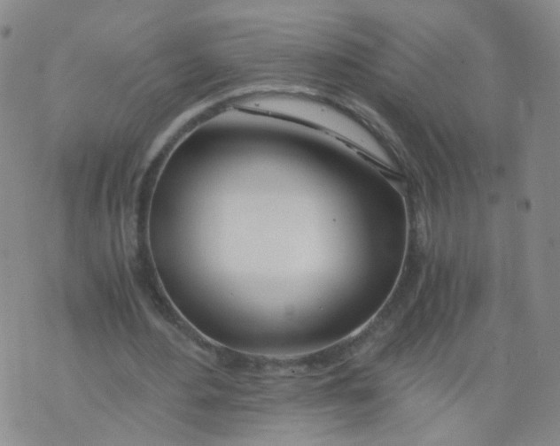 X0000073920484200609011813