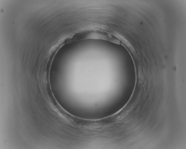 X0000073920485200609011813