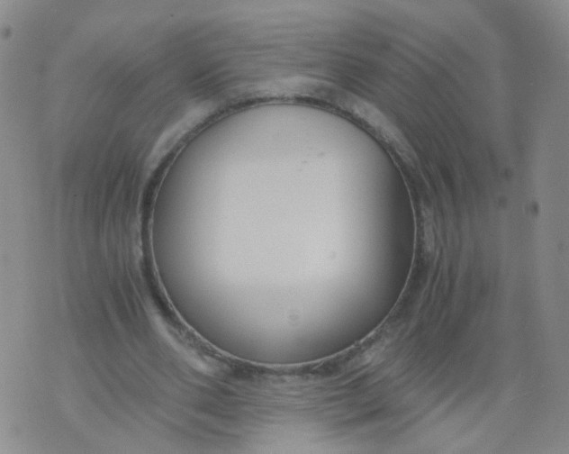 X0000073920486200609011813