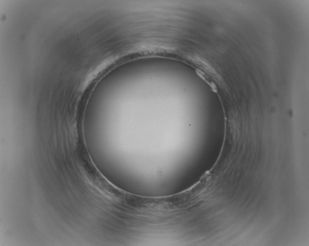 X0000073920488200609011813