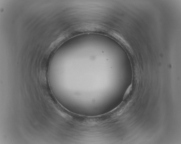 X0000073920489200609011813