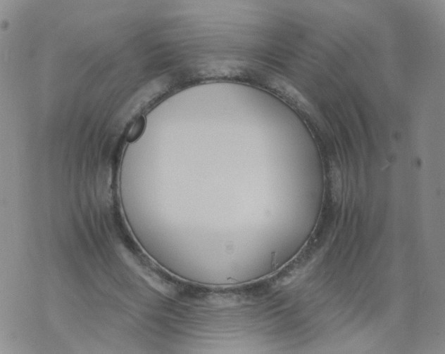 X0000073920490200609011813