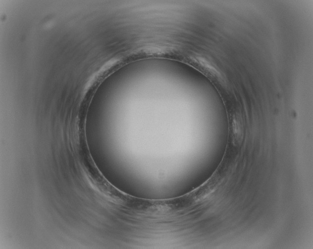 X0000073920492200609011813