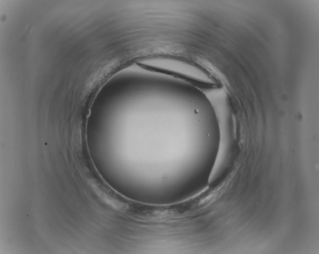 X0000073920493200609011813