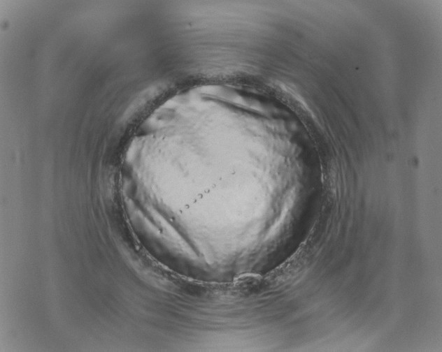 X0000073920495200609011813