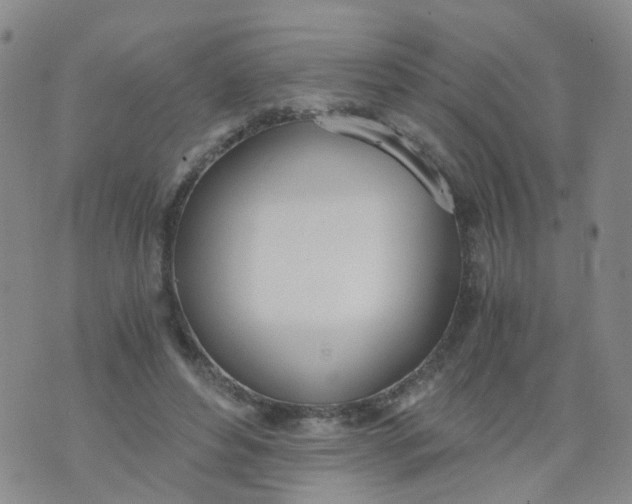 X0000073920496200609011813