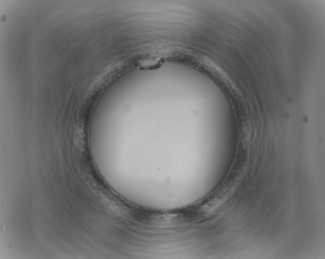 X0000073920497200609011813