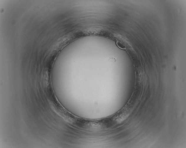 X0000073920498200609011813