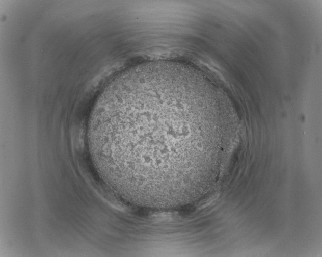 X0000073920499200609011813