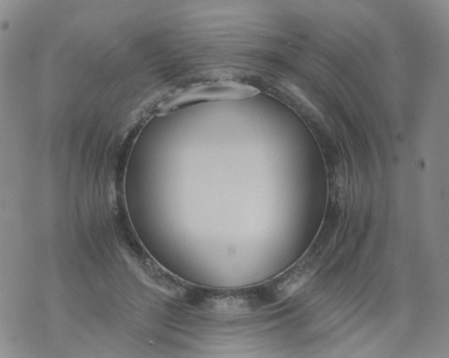 X0000073920500200609011813