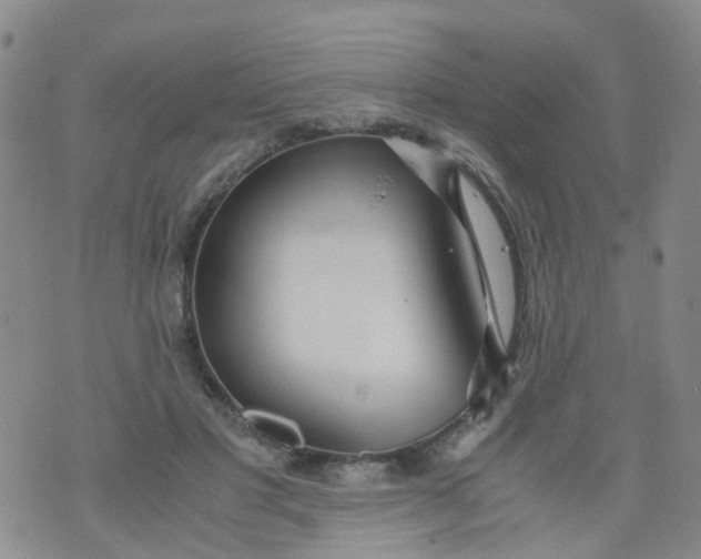 X0000073920501200609011813