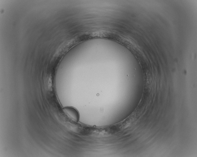 X0000073920502200609011813