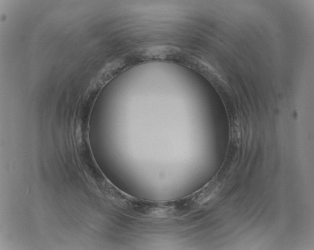 X0000073920504200609011813