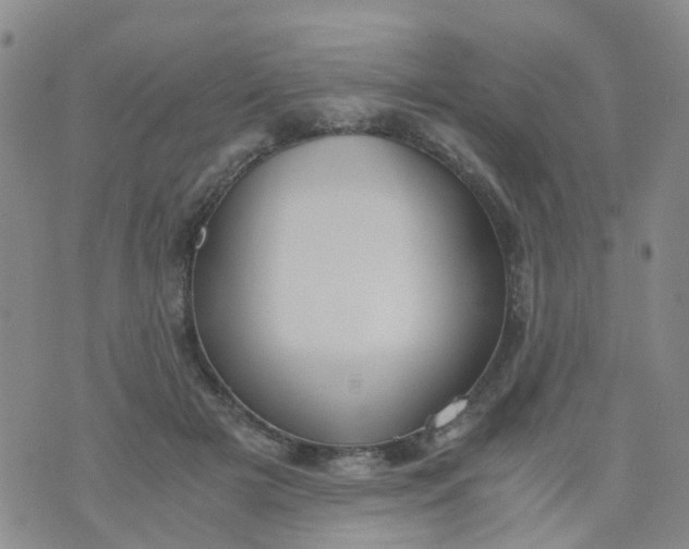 X0000073920505200609011813