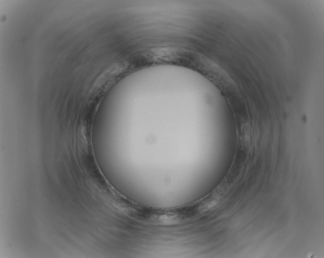 X0000073920506200609011813