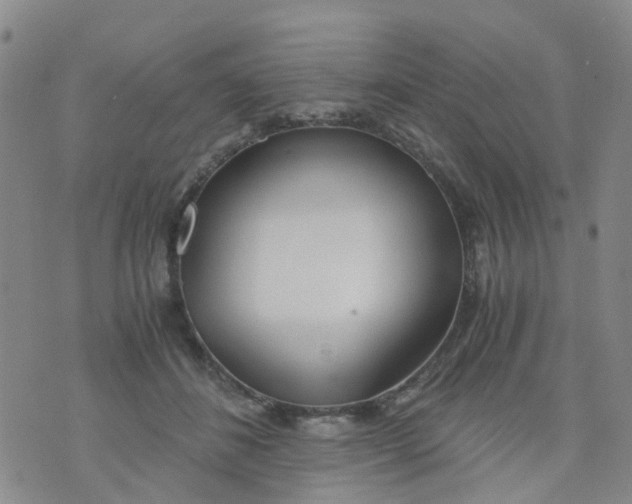 X0000073920508200609011812