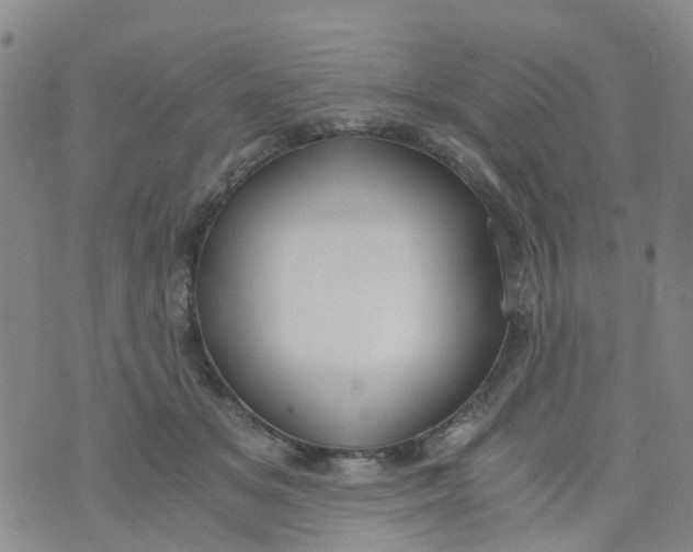 X0000073920509200609011812