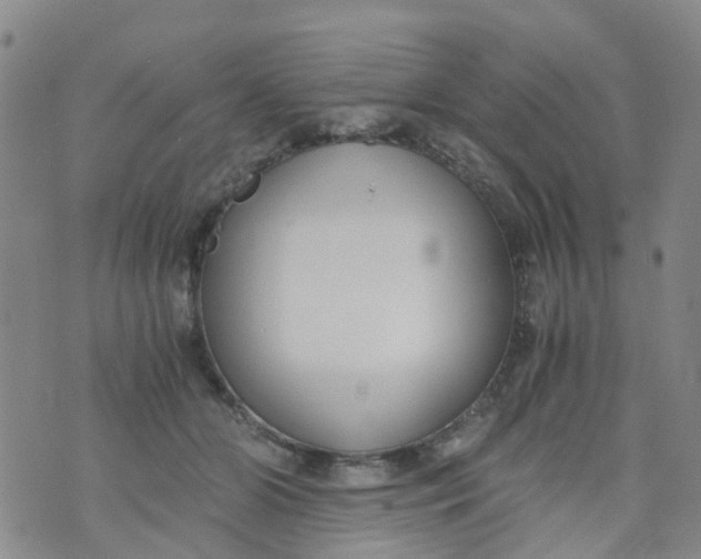 X0000073920510200609011812