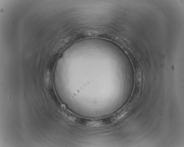 X0000073920511200609011812