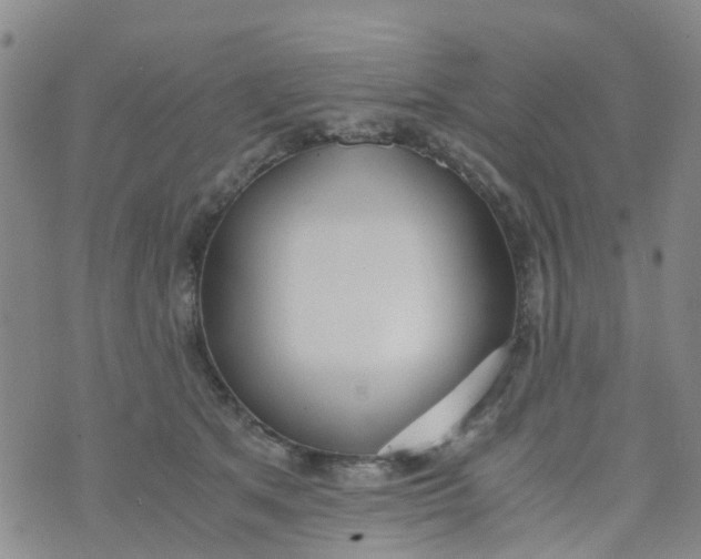 X0000073920513200609011812