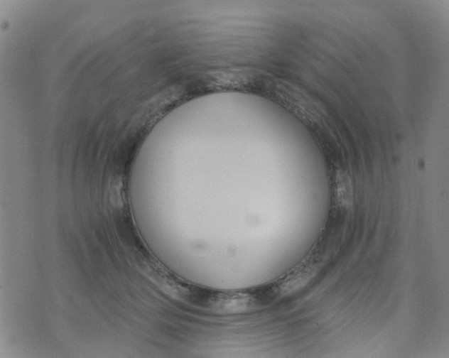 X0000073920514200609011812