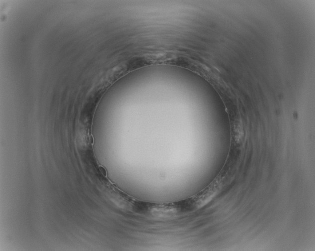 X0000073920515200609011812