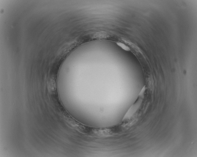 X0000073920517200609011812