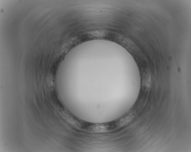 X0000073920518200609011812