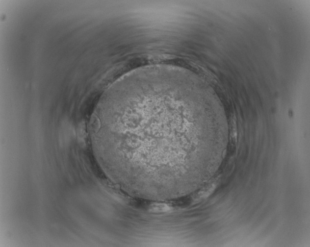 X0000073920519200609011812