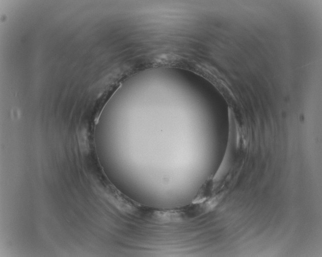 X0000073920520200609011812