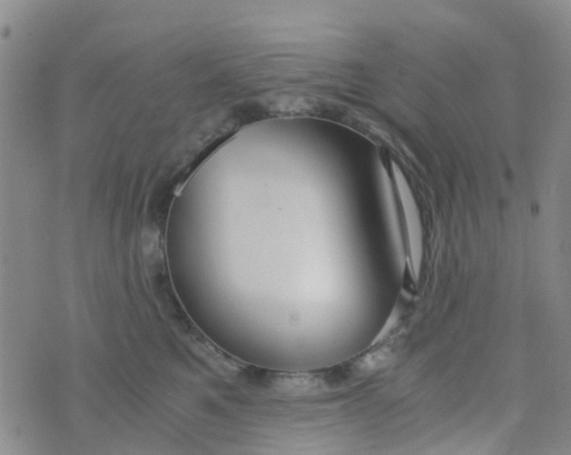 X0000073920521200609011812